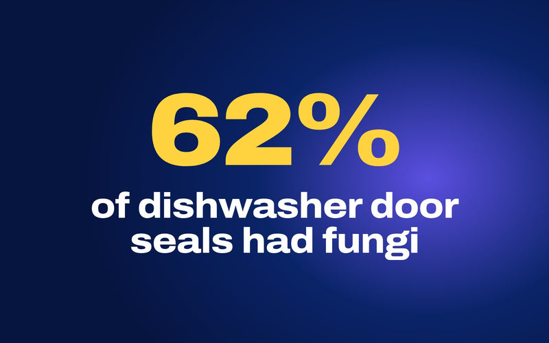 BLITZ cover for the guide on cleaning inside appliances: 62% in big yellow type, the share of 189 home dishwasher door seals where a 2011 study found fungi