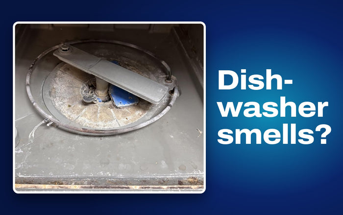 Real photo of food and grease buildup around a dishwasher filter, the main cause of dishwasher smells