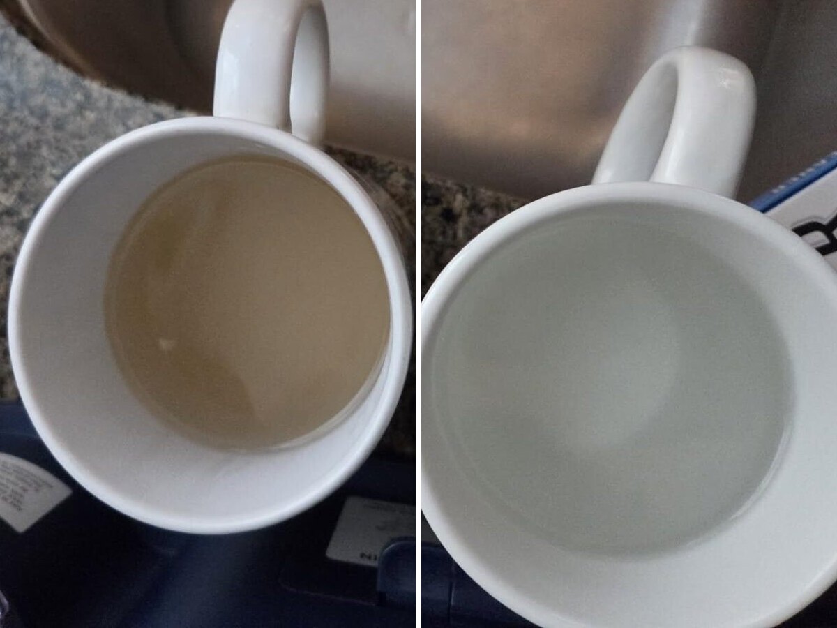 Mug of yellowish water from the first cleaning cycle next to a mug of clear water from the final rinse