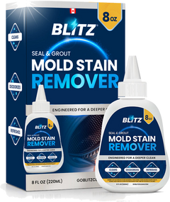 BLITZ mold cleaner