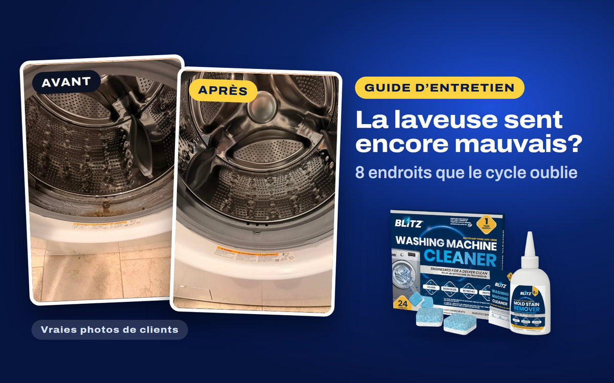 Vraies photos de clients du joint de porte d’une laveuse frontale avant et après le nettoyage, avec le nettoyant pour laveuse et le détachant de moisissure BLITZ