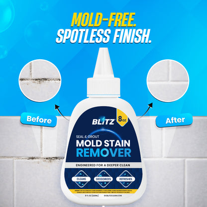 GOBLITZCLEAN BLITZ Mold Stain Remover in a spray bottle, designed for cleaning mold stains from appliances and surfaces.